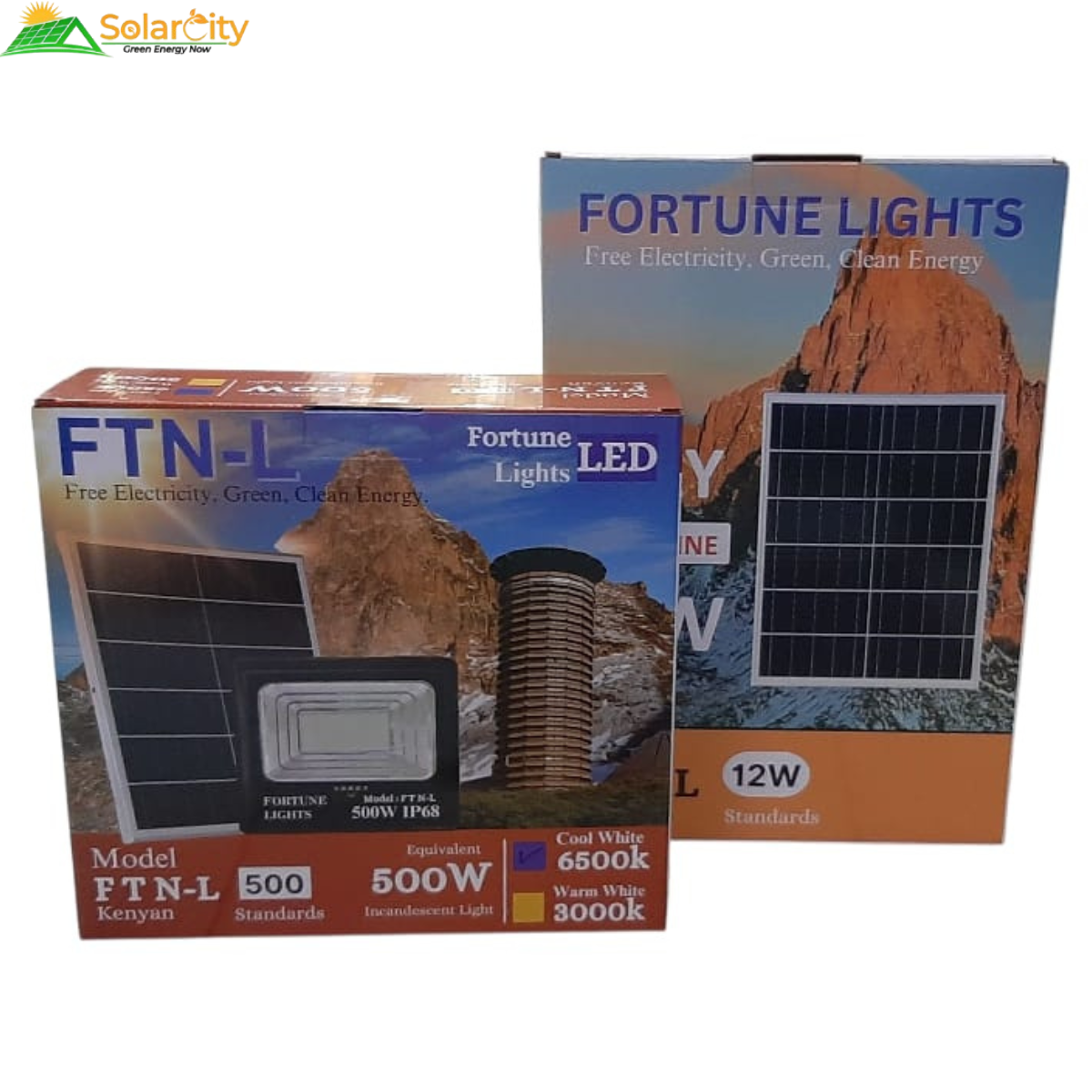 Premuim FloodLights 500W
